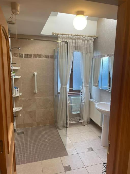 Borodino Studio Apartment Enniscorthy Esterno foto