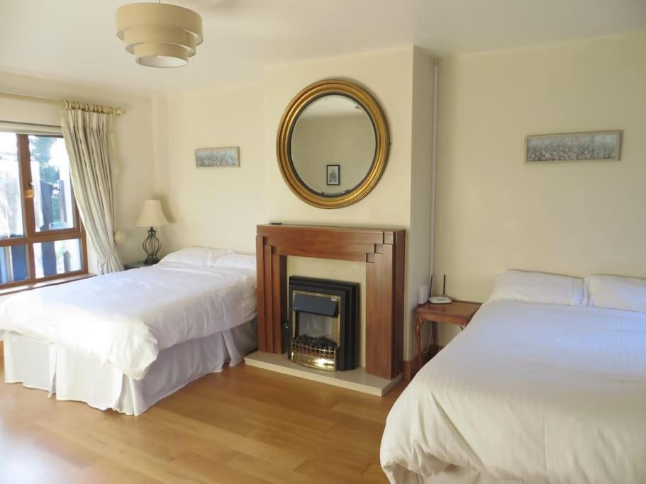 Borodino Studio Apartment Enniscorthy Esterno foto